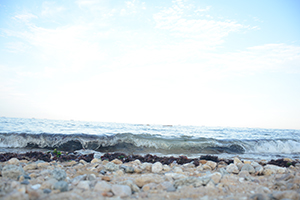 制定每周的復(fù)習(xí)目標(biāo) 制定每周的復(fù)習(xí)目標(biāo)