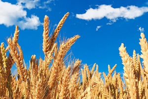 專項(xiàng)突破題型 專項(xiàng)突破題型