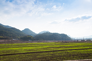 專注眼前 專注眼前