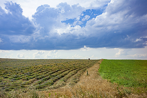 專升本時(shí)間安排