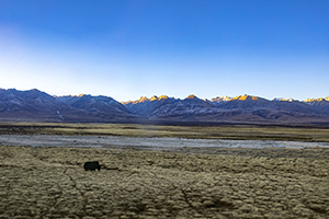 調(diào)整考試動(dòng)機(jī) 調(diào)整考試動(dòng)機(jī)