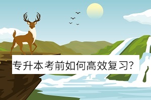 專升本考前如何高效復(fù)習(xí) 專升本考前如何高效復(fù)習(xí)