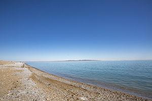 學(xué)以致用 學(xué)以致用