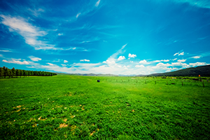 招生政策公布時間