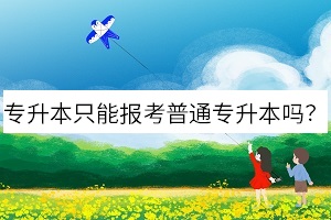 專升本只能報考普通專升本嗎