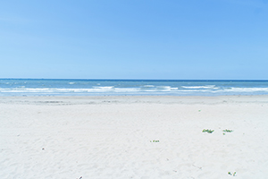 專升本考試資格 專升本考試資格