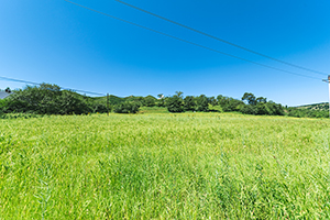 答題不規(guī)范的同學(xué) 答題不規(guī)范的同學(xué)