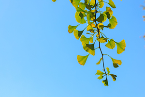 專升本的作用 專升本的作用