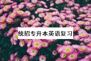 湖北省哪些全日制專升本院校考英語？專升本英語復(fù)習(xí)要點是什么？
