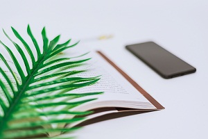 書本、手機(jī)和綠植