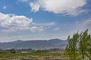 找到適合自己的復(fù)習方法