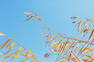 總是做錯(cuò)題的絕望 總是做錯(cuò)題的絕望