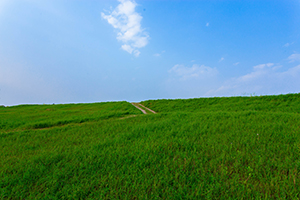 自制力不足 自制力不足