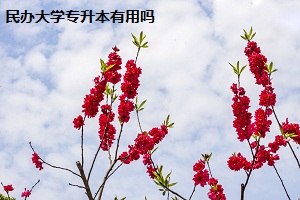 民辦大學(xué)專升本有用嗎