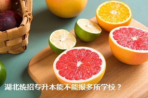 湖北統(tǒng)招專(zhuān)升本能不能報(bào)多所學(xué)校？