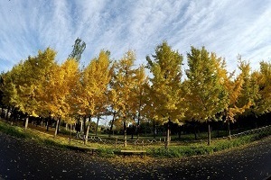 大專第三年才開始準(zhǔn)備普通專升本考試來得及嗎？該如何備考？