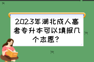 2023年湖北成人高考專升本可以填報幾個志愿？