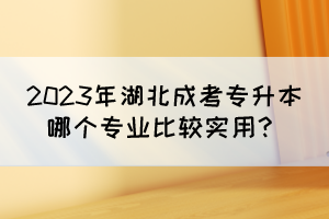 2023年湖北成考專升本哪個(gè)專業(yè)比較實(shí)用？